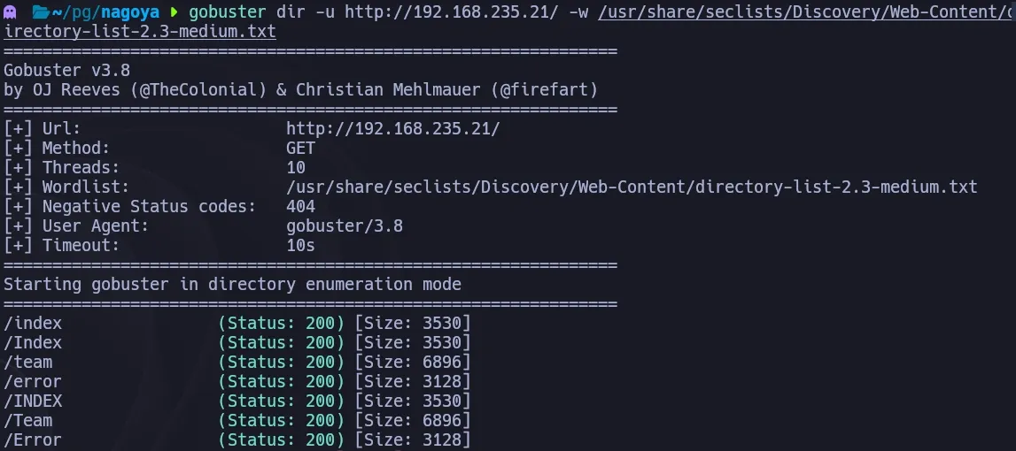 Gobuster discovering directories on the web server including /team section