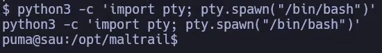 Interactive Shell Upgrade