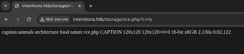 Webshell written to the storage directory by the Imagick MSL exploit