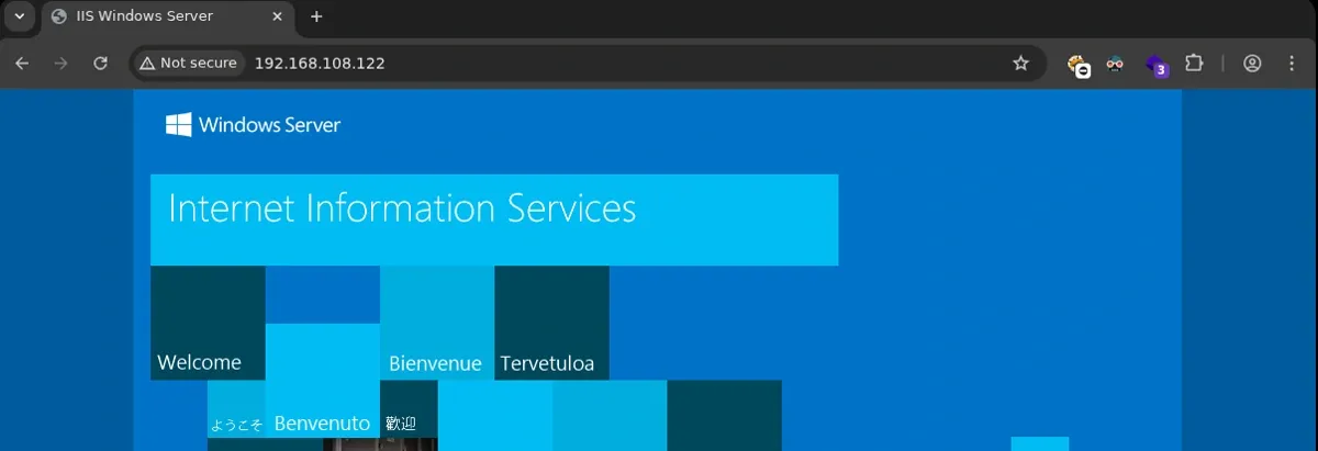 website interface