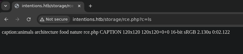 Webshell written to the storage directory by the Imagick MSL exploit