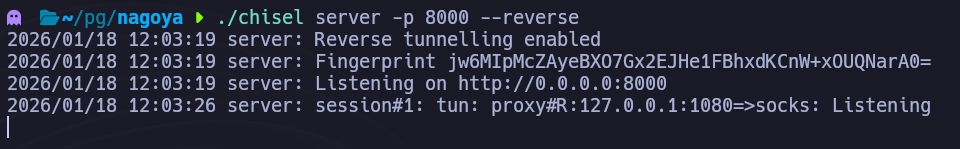 Servidor Chisel iniciado en la máquina atacante en el puerto 8000 para el túnel inverso