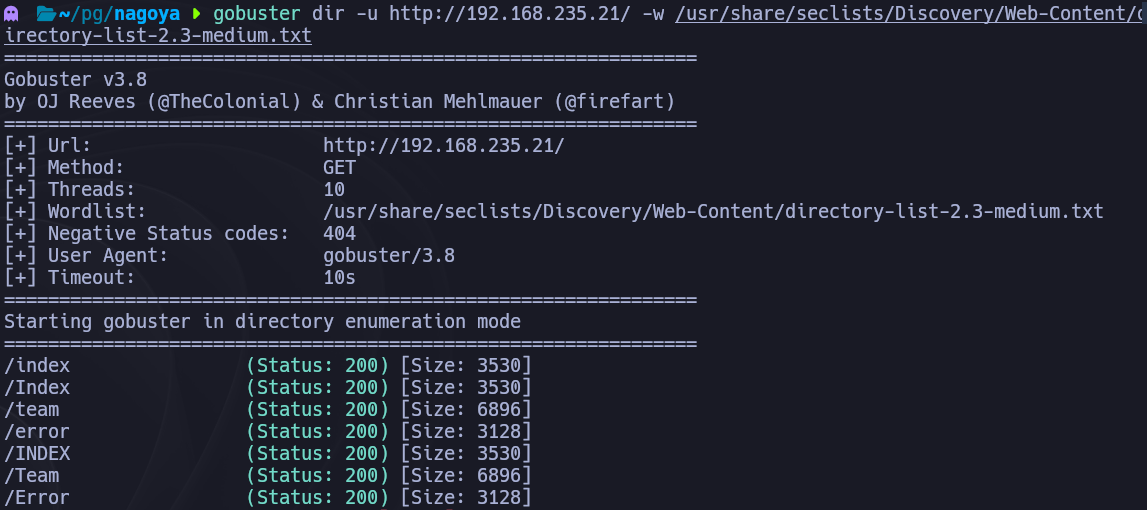 Gobuster descubriendo directorios en el servidor web incluyendo la sección /team